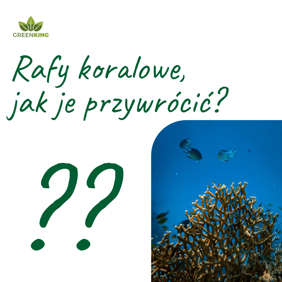 greenking przywrócenie raf